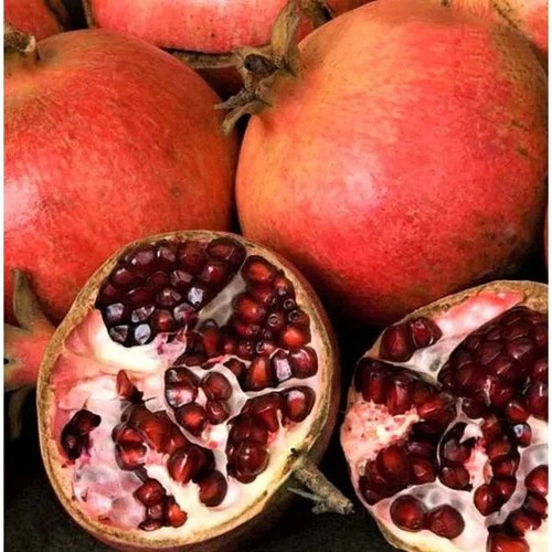 Punica granatum pomegranate - punica,