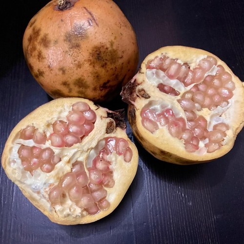White pomegranate 100 seedss - white,