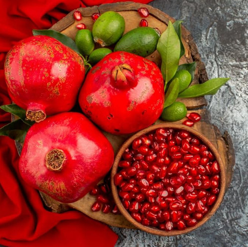 Live pomegranate plant - pomegranate, –