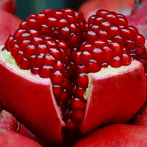 100 bhagwa pomegranate seedss - bhagwa,