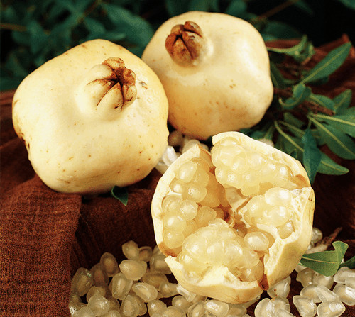 White pomegranate seeds - 50,