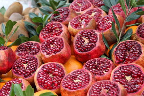 Pomegranate punica granatum - pomegranate,,