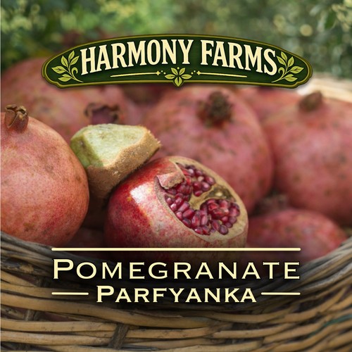 Parfianka pomegranate punica - pomegranate,