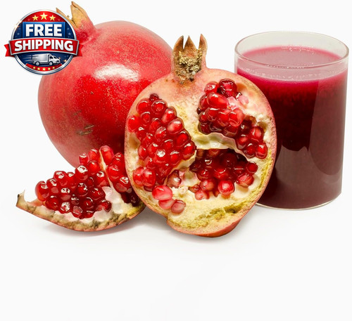 Red pomegranate punica - pomegranate, (punica