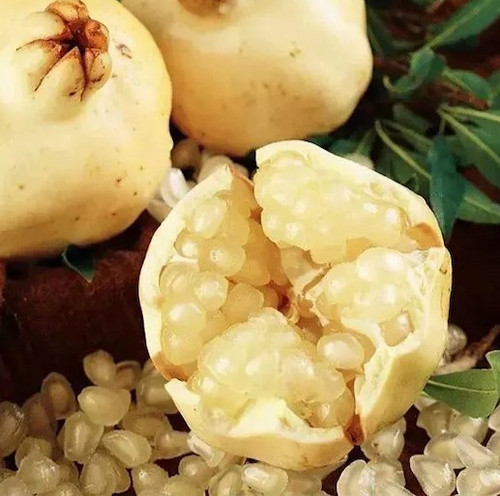 White wonderful pomegranate - white,